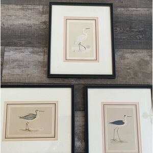3 History of British Birds by The Rev. F.o. Morris, B.A. matted framed prints